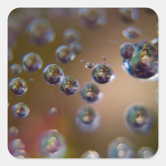 作動中の水 スクエアシール (正面)