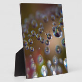 作動中の水 フォトプラーク (側面)