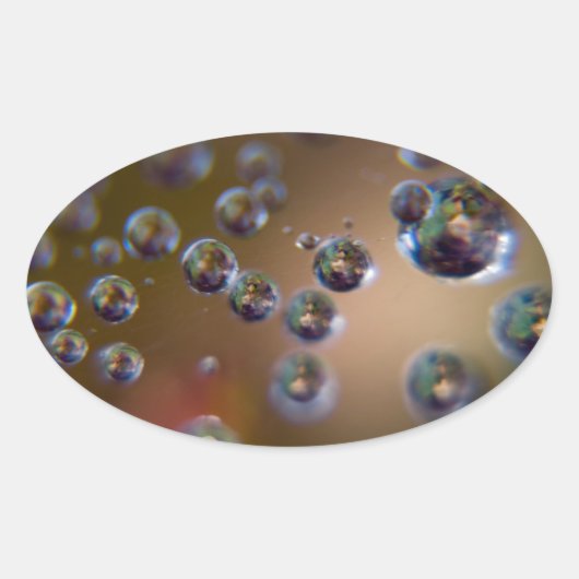 作動中の水 楕円形シール (正面)