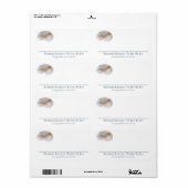 作家サイン – Joy Avery Melville Lab ラベル (フルシート)