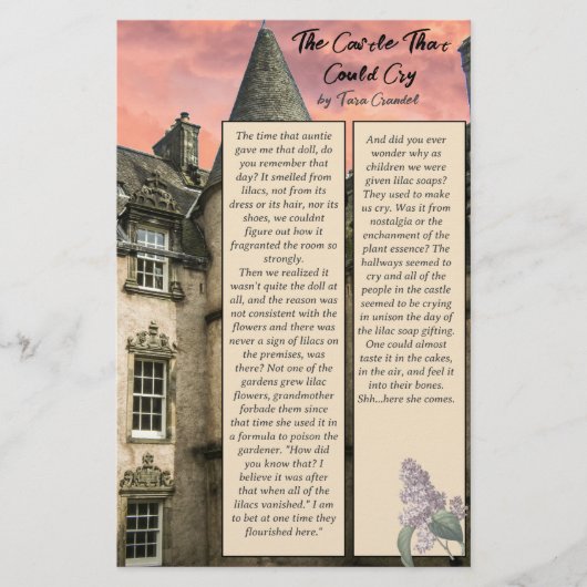 作家プロモーションバイトのサイズストーリーフォロワー チラシ (正面)