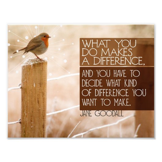 作成する差分 フォトプリント            (正面)