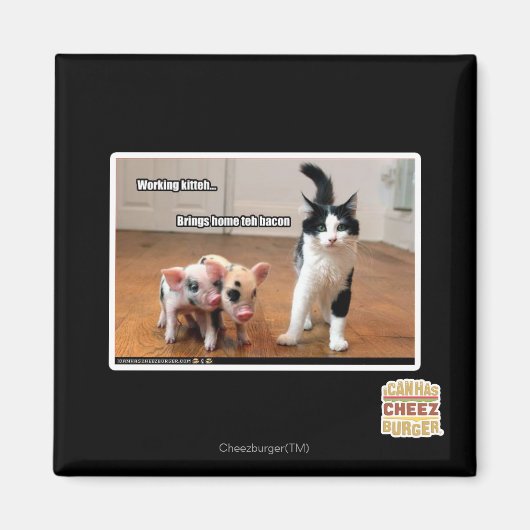 作業キット マグネット (正面)