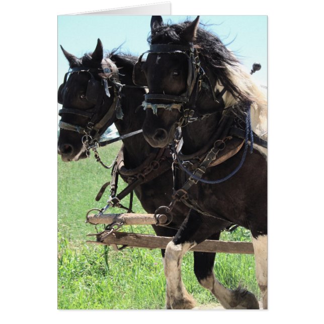 作業中の下書きの挿入 (正面)