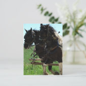 作業中の下書きの挿入 ポストカード (スタンド正面)