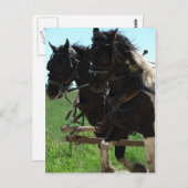 作業中の下書きの挿入 ポストカード (正面/裏面)