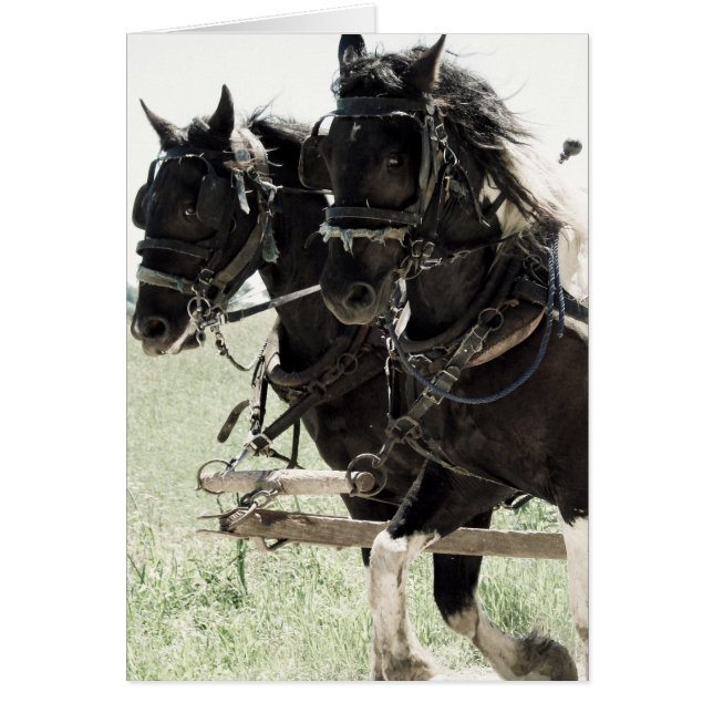 作業中の下書きへのピント (正面)