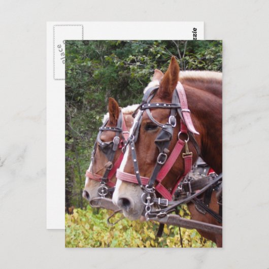 作業中 ポストカード (正面/裏面)