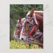 作業中 ポストカード (正面)