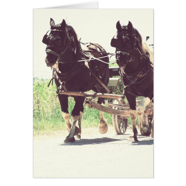 作業時のドラフトのヴィンテージ効果 (正面)