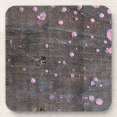 作業木材4A コースター (正面)