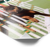 作業犬 フォトプリント            (角)