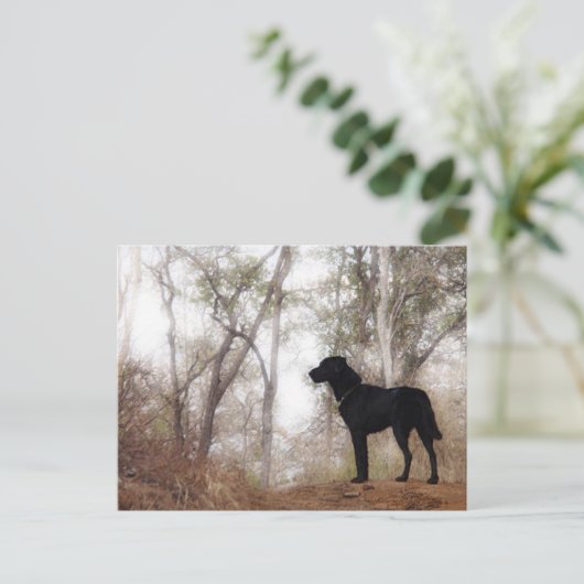 作業環境保全犬のスクービー ポストカード (スタンド正面)