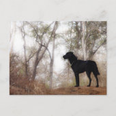 作業環境保全犬のスクービー ポストカード (正面)