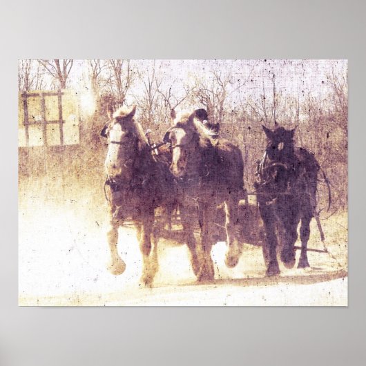 作業馬 ポスター (正面)