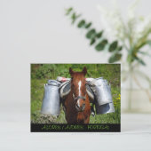 作業馬 ポストカード (スタンド正面)