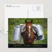 作業馬 ポストカード (正面/裏面)