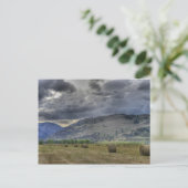 作物入り。ミッドウェイB.C.からのポストカード ポストカード (スタンド正面)