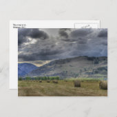 作物入り。ミッドウェイB.C.からのポストカード ポストカード (正面/裏面)