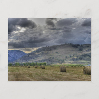 作物入り。ミッドウェイB.C.からのポストカード ポストカード