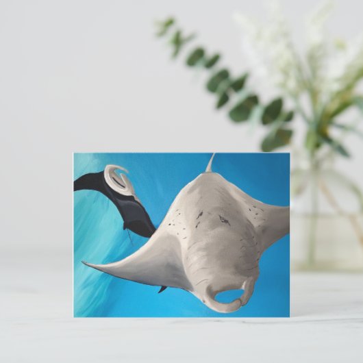 佳中 ポストカード (スタンド正面)