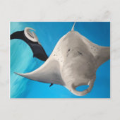 佳中 ポストカード (正面)