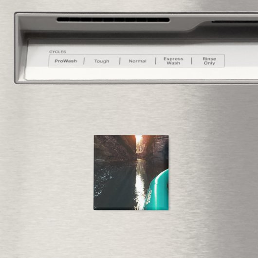 使い捨てシャムラフティング マグネット (インサイチュ (食洗機))