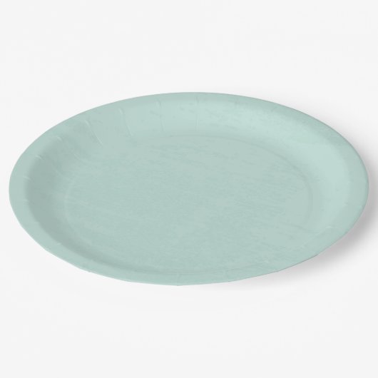 使い捨て美しい新鮮なミントグリーン ペーパープレート (アングル)