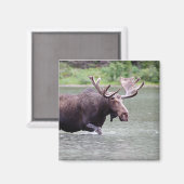 使命を果たす マグネット (正面/裏面)