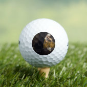 使徒の聖アンドリュー ゴルフボール (インサイチュ 木)