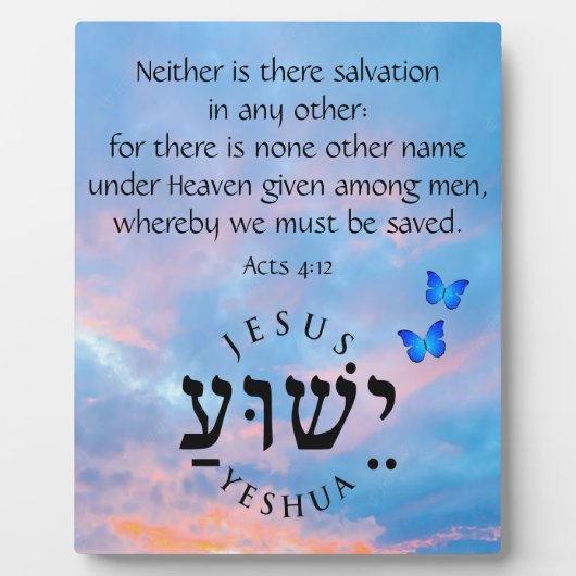 使徒4:12 フォトプラーク (正面)