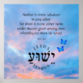 使徒4:12 ポスター (正面)