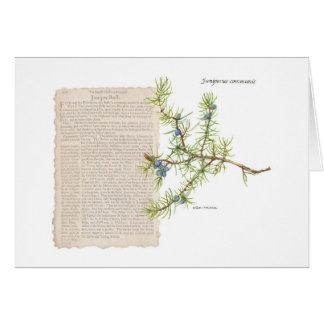 使用の履歴を示すジュニパー