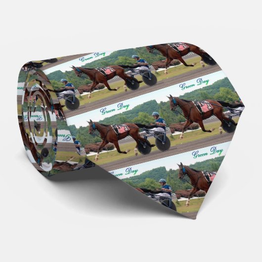 例の写真のタイ ネクタイ (ロール)