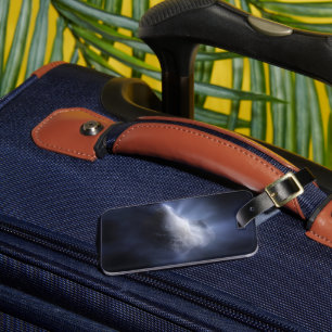 例示的にCometテンペルを閉じる。 ラゲッジタグ