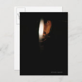 侍ポートレート5 ポストカード (正面/裏面)