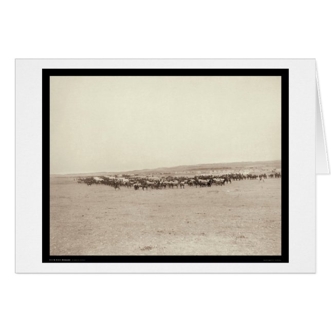 供給ワゴン及びパックのラバSD 1887年 (正面横)