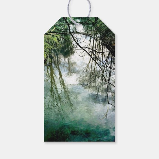 価格ラベル水 ギフトタグ (裏面)