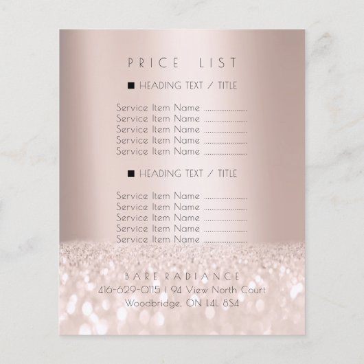 価格表美しいサロンバラグリッター電解2 チラシ (裏面)