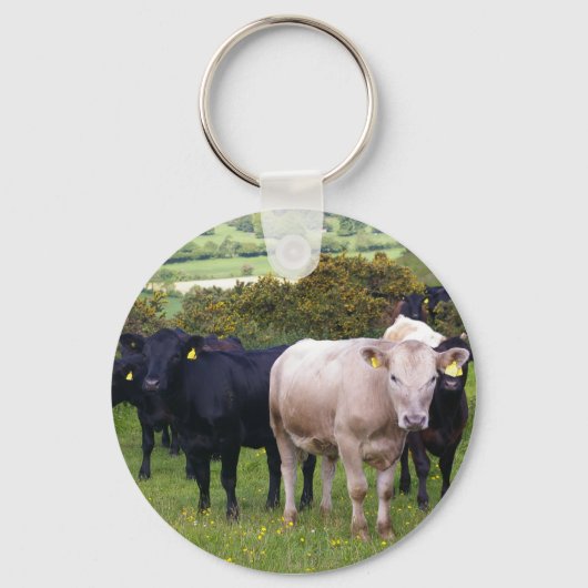 侵入 キーホルダー (正面)