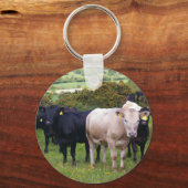 侵入 キーホルダー (正面)