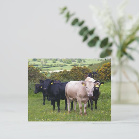 侵入 ポストカード (スタンド正面)