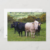 侵入 ポストカード (正面/裏面)