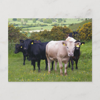 侵入 ポストカード