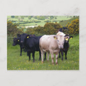 侵入 ポストカード (正面)