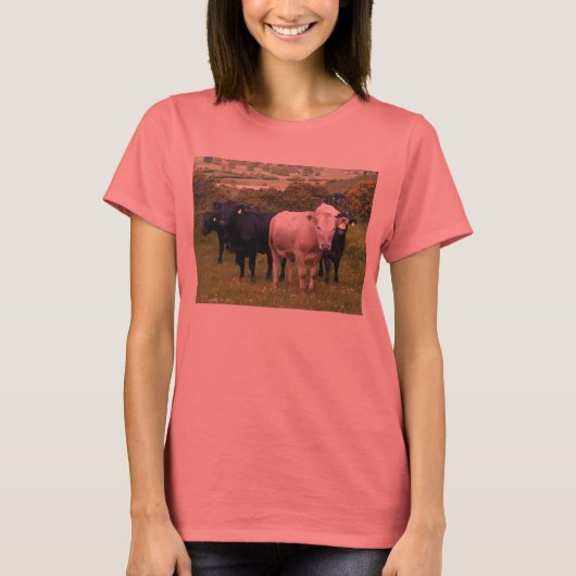 侵入 Tシャツ (正面)