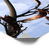 侵襲性雑草植物 ポスター (角)