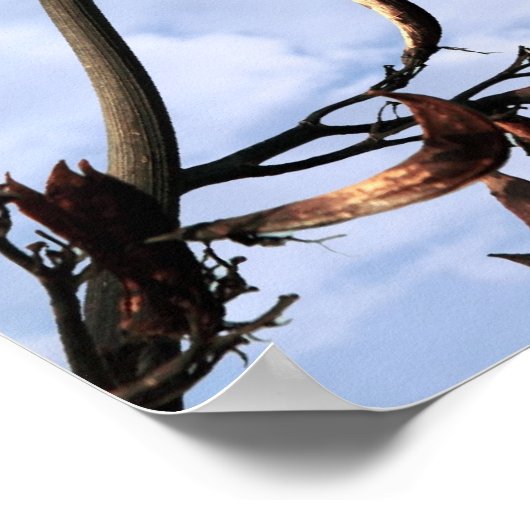 侵襲性雑草植物 ポスター (角)