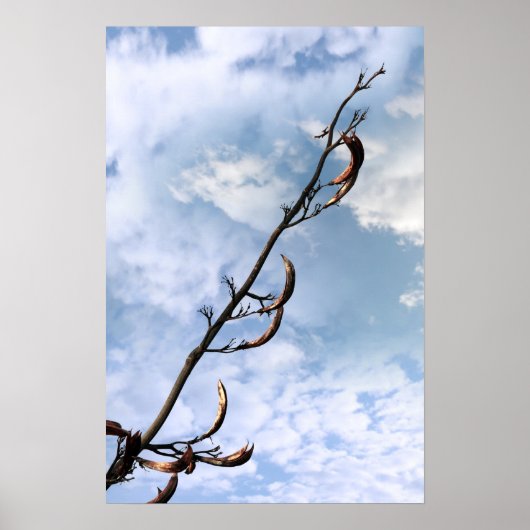 侵襲性雑草植物 ポスター (正面)