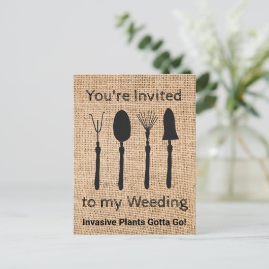 侵襲植物 ポストカード (スタンド正面)